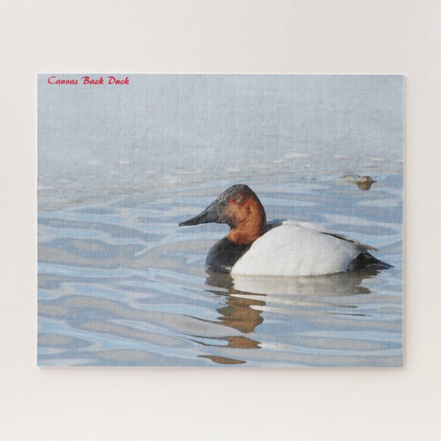 Quebra-cabeça Pato-de-costa-branca (Horizontal)