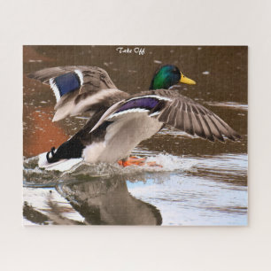 Quebra-cabeça Pato de Mallard em Voo