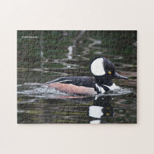 Quebra-cabeça Pato de Merganser Hooé espantoso em Pond