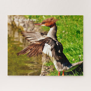 Quebra-cabeça Pato Merganso