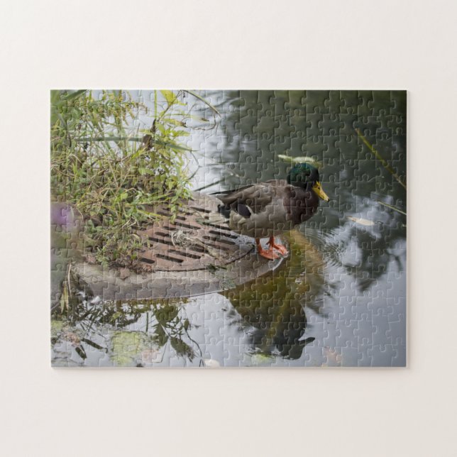 Quebra-cabeça Pato num Pond (Horizontal)