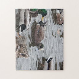Quebra-cabeça Pato, Wigeon Americano, Ave, Kennewick, WA