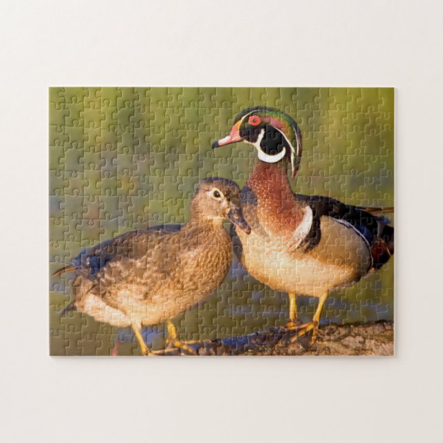 Quebra-cabeça Patos-carolinianos e fêmea em tronco em área úmida (Horizontal)