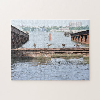Quebra-cabeça Patos na Fotografia da Nova Iorque do Rio Hudson