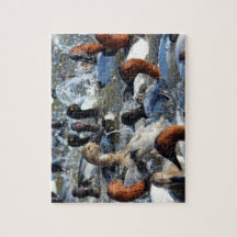 Patos Selvagens Passando