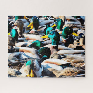 Quebra-cabeça Patos Silvestres Engarrafamento