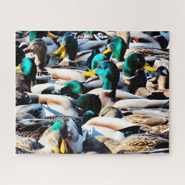 Quebra-cabeça Patos Silvestres Engarrafamento (Horizontal)