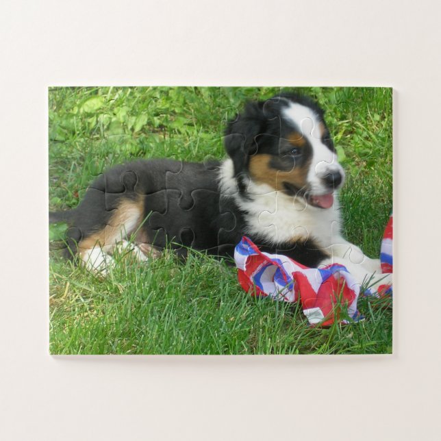 Quebra-cabeça "Patriotic Bryn" (Horizontal)