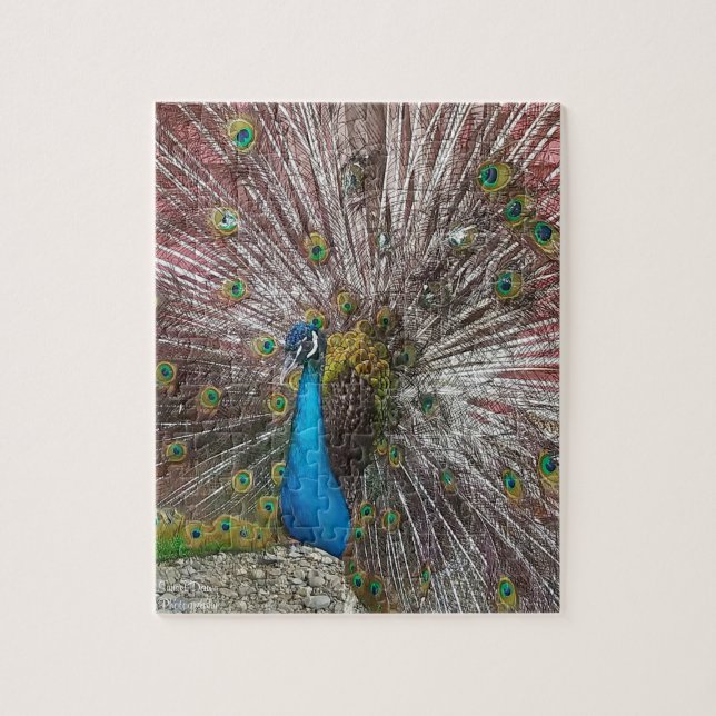 Quebra-cabeça Pavão  (Vertical)