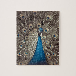 Quebra-cabeça Pavão Azul Antiquado