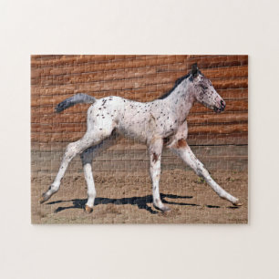 Quebra-cabeça Pé de Cavalo Appaloosa em Corrida