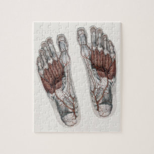 Quebra-cabeça Pé Podiatral Da Impressão Humana Vintage