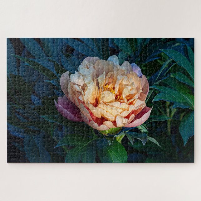 Quebra-cabeça Peach Peony - Fotografia Romântica da Flor (Horizontal)