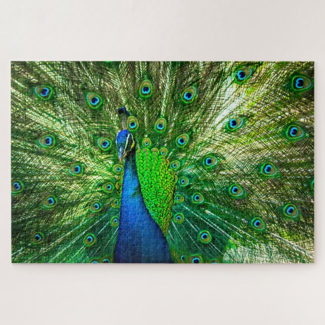 Quebra-cabeça Peacock (Horizontal)