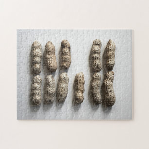 Quebra-cabeça Peanuts Ainda Vida Fotografia De Arte Bela