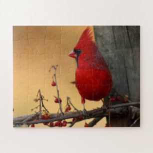 Quebra-cabeça Peças Grandes de Pássaro Vermelho Dão à Vovó