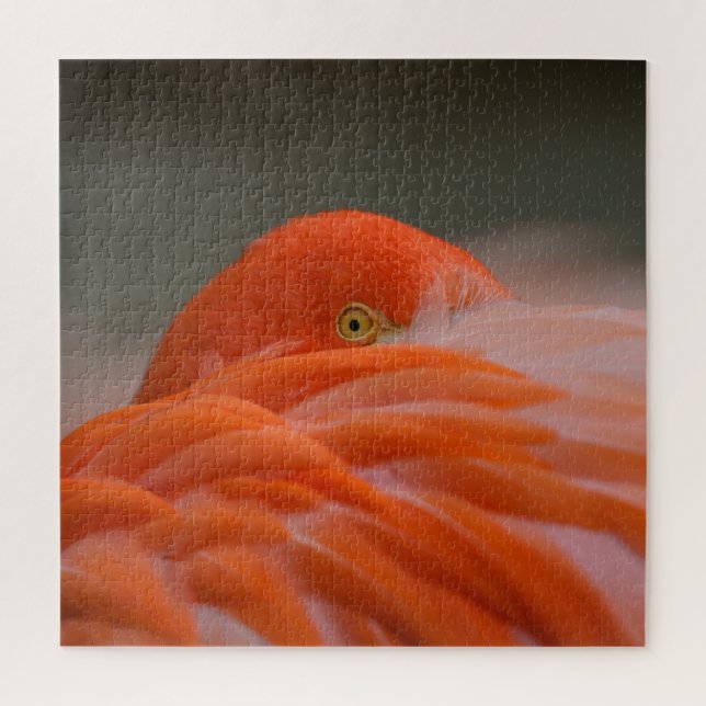 Quebra-cabeça Peeking Flamingo (Vertical)