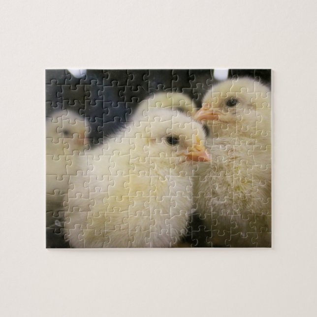 Quebra-cabeça Peeps (Horizontal)