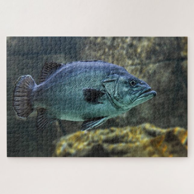 Quebra-cabeça Peixe de banho azul (Horizontal)
