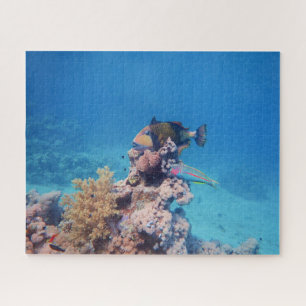 Quebra-cabeça Peixe-gato repousa sobre um bloco de coral no reci