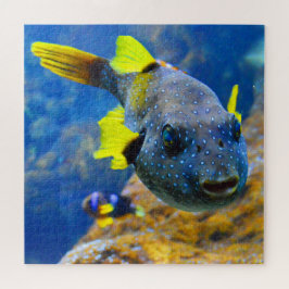 Quebra-cabeça Peixe-Pufe Azul, Multas Amarelas E Visado