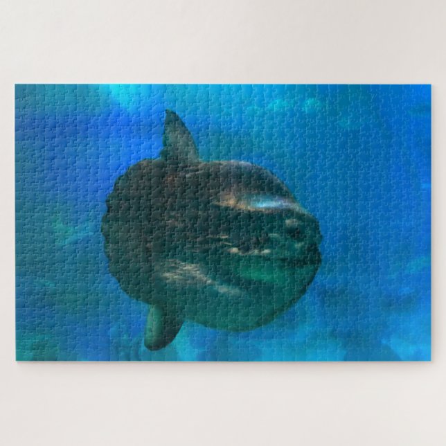 Quebra-cabeça Peixe Sol. (Horizontal)