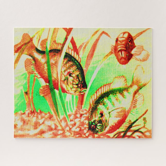 Quebra-cabeça peixe-sol água fresca (Horizontal)