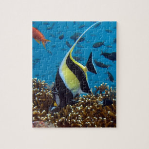 Quebra-cabeça Peixe tropical