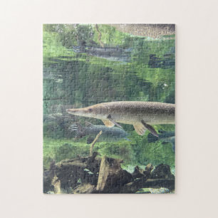 Quebra-cabeça Peixes de Pike