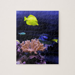 Quebra-cabeça Peixes tropicais coloridos