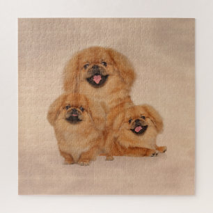 Quebra-cabeça Pekingese persegue a colagem