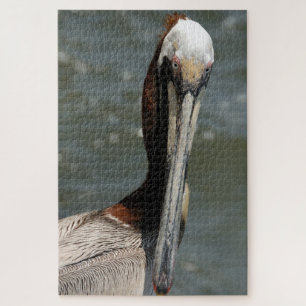 Quebra-cabeça Pelican olhando para o meu cartão