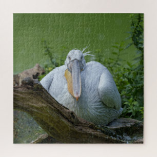 Quebra-cabeça Pelican Serenity A Captivating Gaze