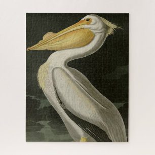 Quebra-cabeça Pelicano Branco Americano, Aves da América de Audu