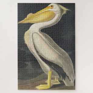 Quebra-cabeça Pelicano Branco Americano de Birds of America
