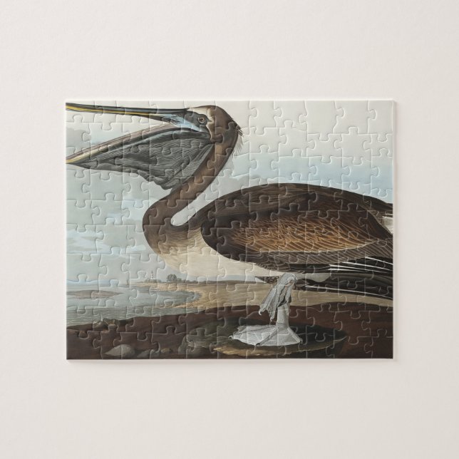 Quebra-cabeça Pelicano-marrom de Birds of America (Horizontal)