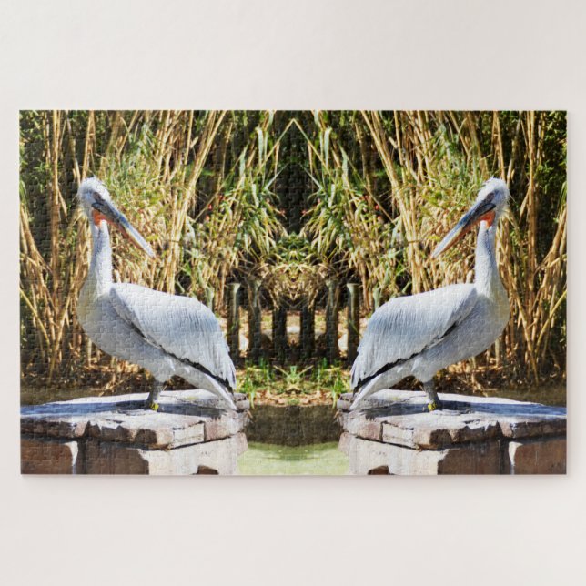 Quebra-cabeça Pelicanos (Horizontal)