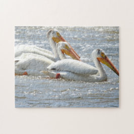 Quebra-cabeça Pelicanos americanos nadando no Mississippi Rive