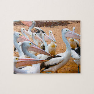 Quebra-cabeça Pelicanos Australianos