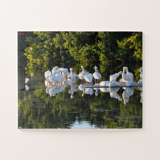 Quebra-cabeça Pelicanos da Ilha Sanibel Flórida (Horizontal)