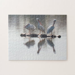 Quebra-cabeça - Pelicanos e Reflexões