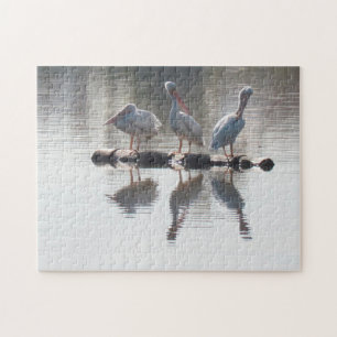 Quebra-cabeça - Pelicanos e Reflexões