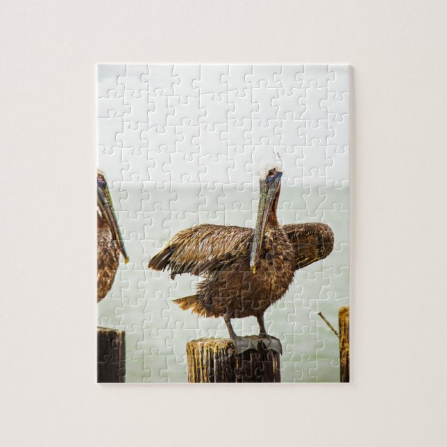 Quebra-cabeça Pelicanos empoleirados em cargos (Vertical)