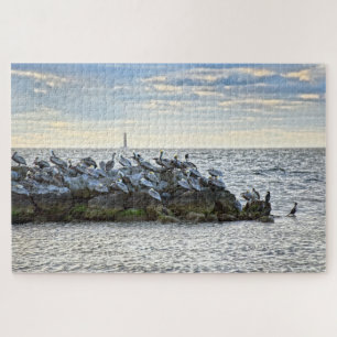 Quebra-cabeça "Pelicans and the Lighthouse, Dauphin Island, AL