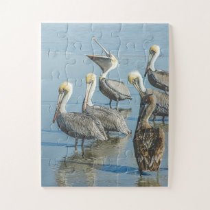 Quebra-cabeça Pelicans Bird Nature Beach Supersize