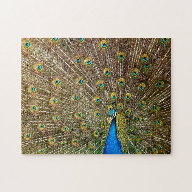 Quebra-cabeça Penas das Caudas de Peacock Elegantes (Horizontal)