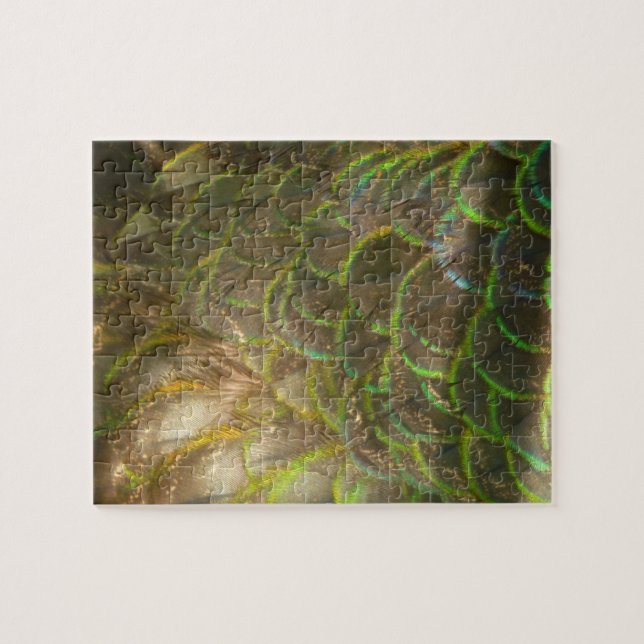 Quebra-cabeça Penas Peacock III (Mulher) Design (Horizontal)