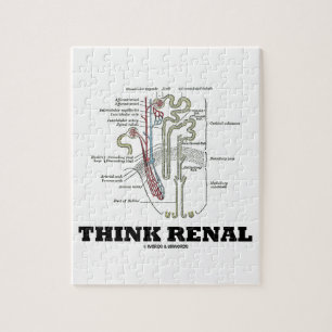 Quebra-cabeça Pense renal (a ilustração da anatomia de Nephron)