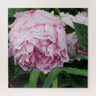 Quebra-cabeça Peônia Rosa