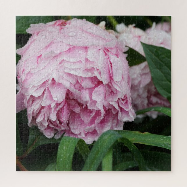 Quebra-cabeça Peônia Rosa (Vertical)